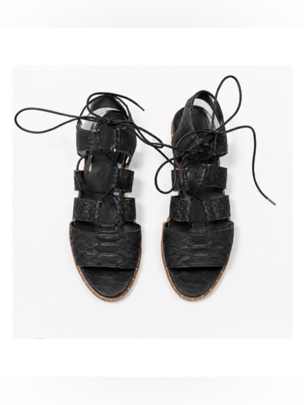 Freda Salvador Wise Lace Up Gladiator Sandal - Black Snake Embossed